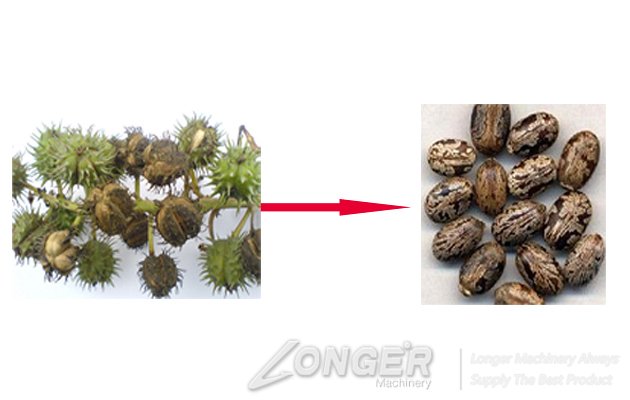 2015 Hot Sale Castor Bean Shelling Machine