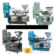 Oil pressing machine for sale